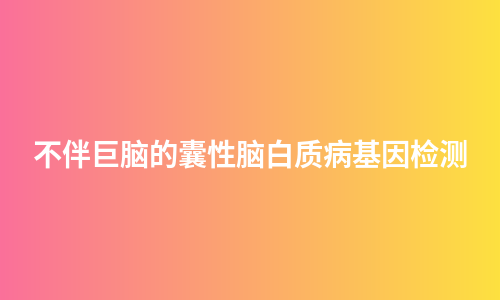 不伴巨脑的囊性脑白质病基因检测