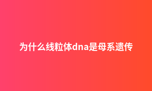 为什么线粒体dna是母系遗传