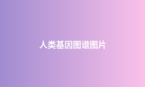 人类基因图谱图片