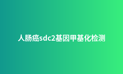 人肠癌sdc2基因甲基化检测