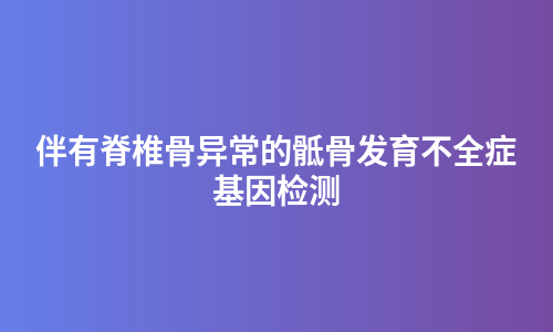 伴有脊椎骨异常的骶骨发育不全症基因检测