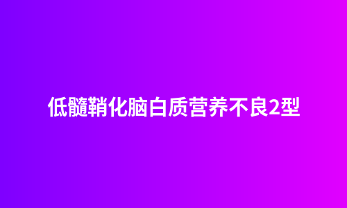 低髓鞘化脑白质营养不良2型