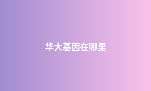 华大基因在哪里