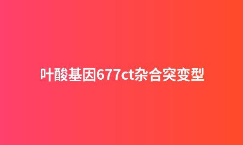 叶酸基因677ct杂合突变型