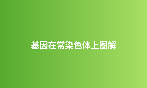 基因在常染色体上图解