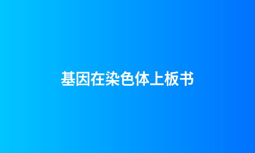 基因在染色体上板书