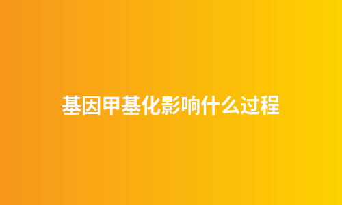 基因甲基化影响什么过程