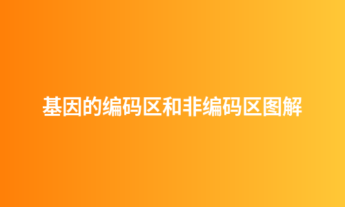基因的编码区和非编码区图解