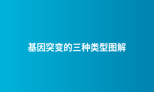 基因突变的三种类型图解