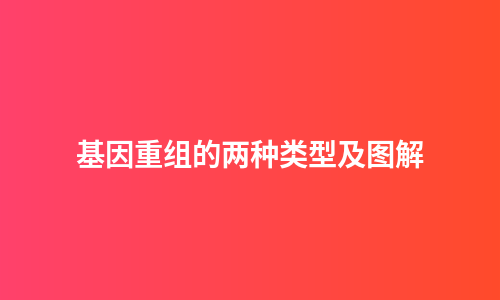 基因重组的两种类型及图解