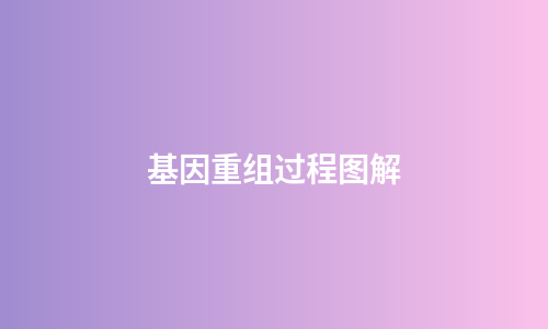 基因重组过程图解