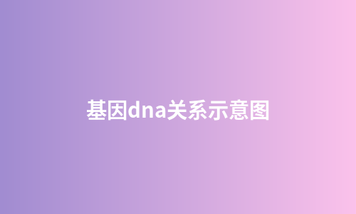基因dna关系示意图