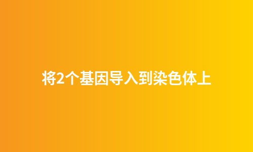 将2个基因导入到染色体上