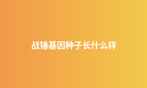 战锤基因种子长什么样