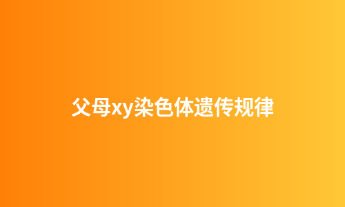 父母xy染色体遗传规律
