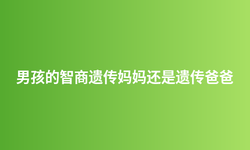 男孩的智商遗传妈妈还是遗传爸爸