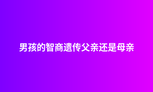 男孩的智商遗传父亲还是母亲