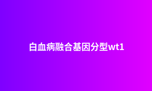 白血病融合基因分型wt1