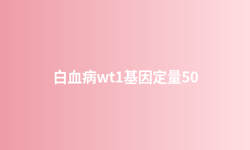 白血病wt1基因定量50
