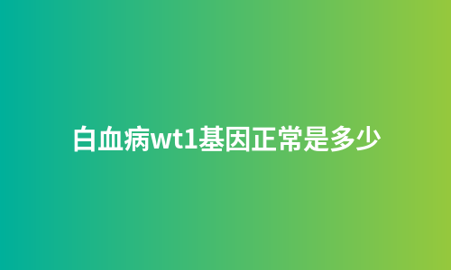 白血病wt1基因正常是多少