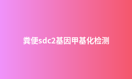 粪便sdc2基因甲基化检测