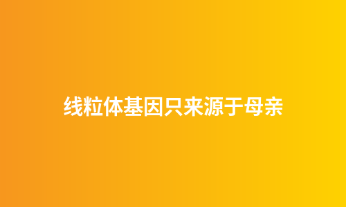 线粒体基因只来源于母亲