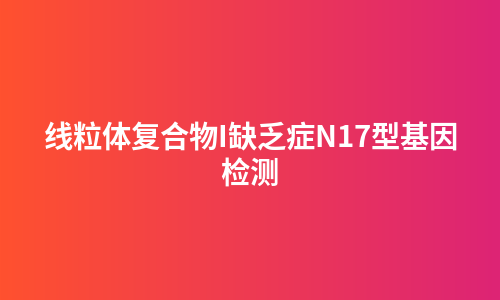 线粒体复合物I缺乏症N17型基因检测
