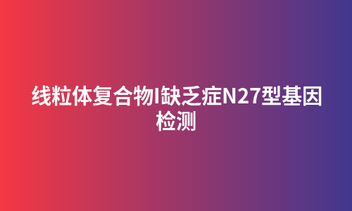 线粒体复合物I缺乏症N27型基因检测
