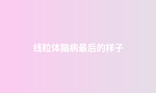 线粒体脑病最后的样子