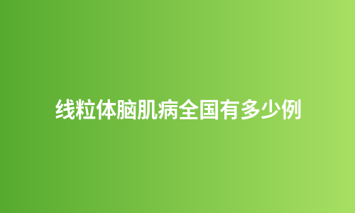 线粒体脑肌病全国有多少例