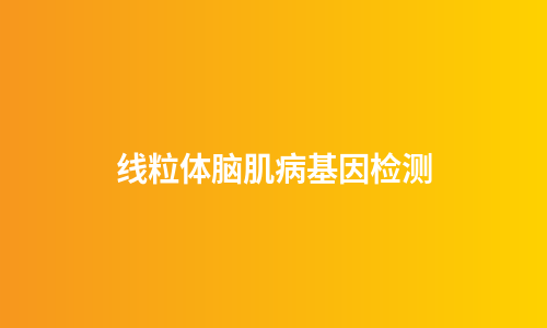 线粒体脑肌病基因检测