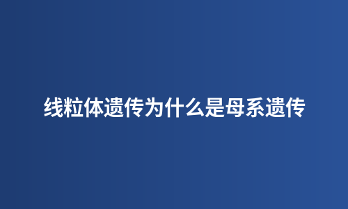 线粒体遗传为什么是母系遗传