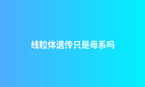 线粒体遗传只是母系吗