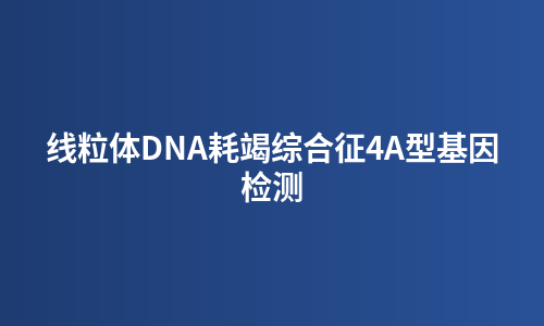 线粒体DNA耗竭综合征4A型基因检测