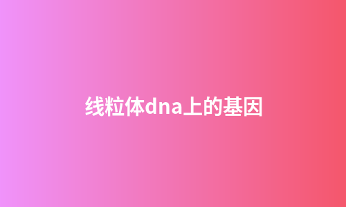 线粒体dna上的基因