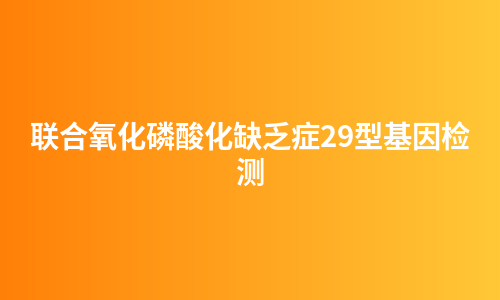 联合氧化磷酸化缺乏症29型基因检测
