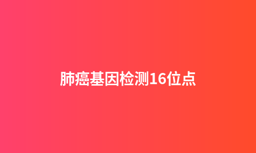 肺癌基因检测16位点