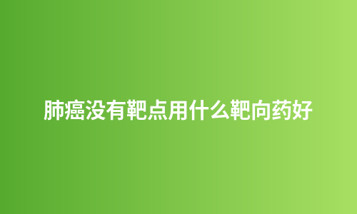 肺癌没有靶点用什么靶向药好