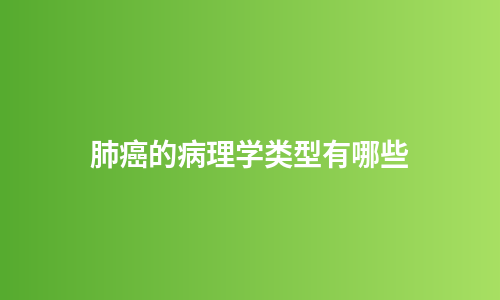 肺癌的病理学类型有哪些