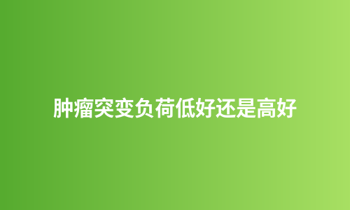 肿瘤突变负荷低好还是高好