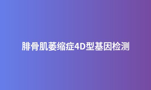 腓骨肌萎缩症4D型基因检测