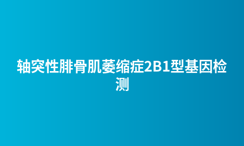 轴突性腓骨肌萎缩症2B1型基因检测