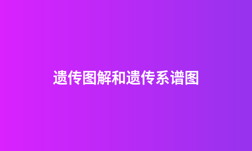 遗传图解和遗传系谱图