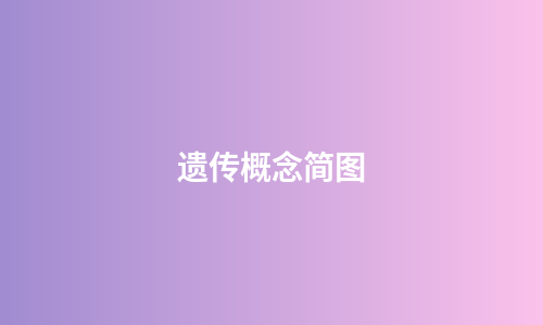 遗传概念简图