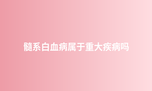 髓系白血病属于重大疾病吗