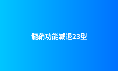 髓鞘功能减退23型