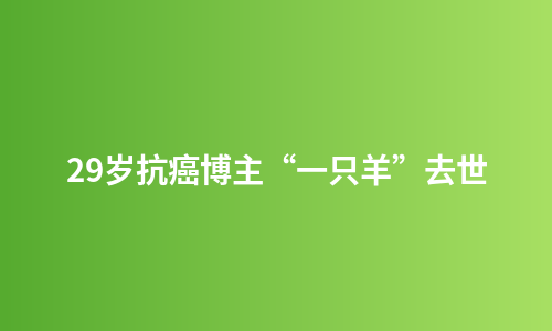 29岁抗癌博主“一只羊”去世