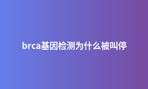 brca基因检测为什么被叫停