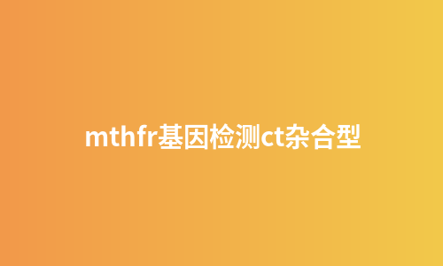 mthfr基因检测ct杂合型