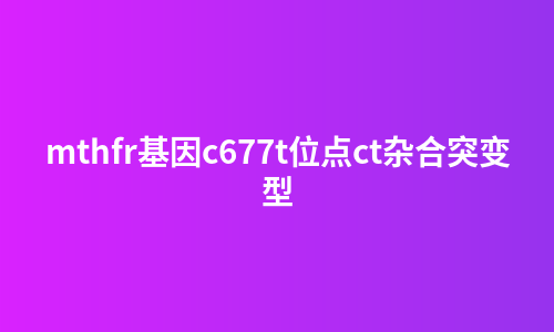 mthfr基因c677t位点ct杂合突变型